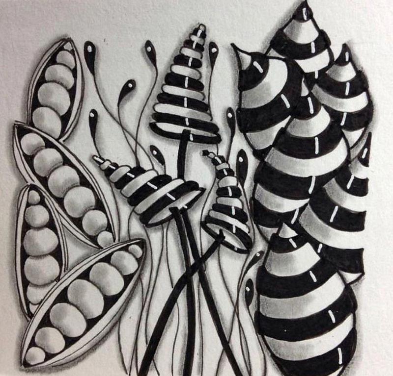 Wijkvereniging Passewaaij | Zentangle tekenen